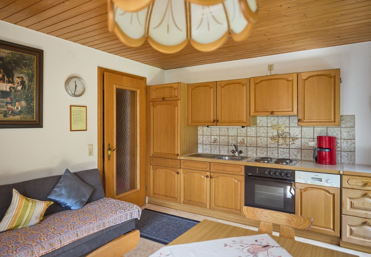 Ferienwohnung in St. Gallenkirch - Gargenappartment mit 2 Schlafzimmer und Terrasse
